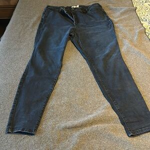 Lane Bryant High Rise Skinny Jeans